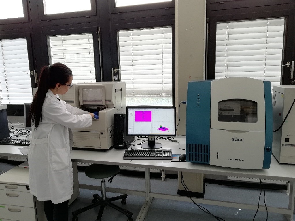 Capillar electrophoresis