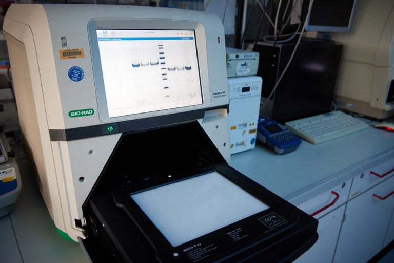 Auswertung Dünnschicht Chromatographie