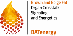Logo BATenergie