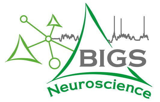 Logo Bigs Neurosciences