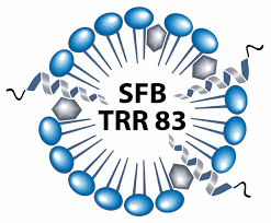 Logo SFB TRR 83